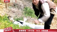 《終極對決》 藝人抗日篇