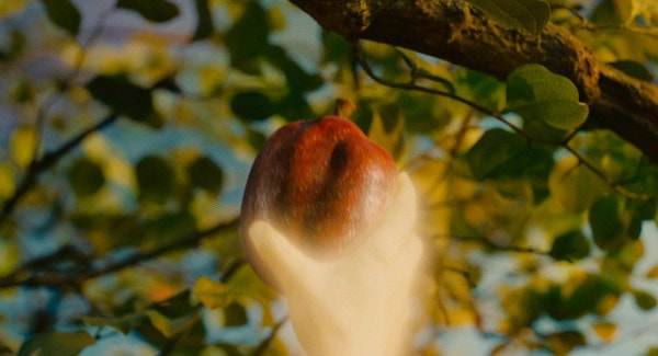 http://www.omega3-ala.com/pics/default/download/1391043914f1f89c86b4b9c9cff595a1.jpg