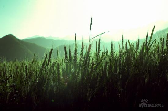 http://www.omega3-ala.com/pics/default/download/13ab9b816c45b53fd9cf74309c799d5a.jpg