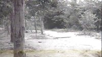 89年拍攝電視劇《帶刺的玫瑰》