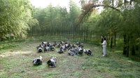 《紅色青橄欖》片花第一彈重磅來襲