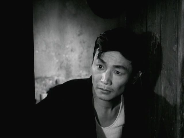 http://www.omega3-ala.com/pics/default/download/143f3e538dae010a6ed31d020f806fd2.jpg