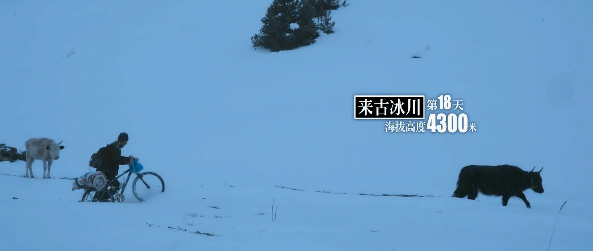 http://www.omega3-ala.com/pics/default/download/1541974da5eec554bcbf7a3a2085042f.jpg