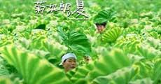 《菊次郎的夏天》海報