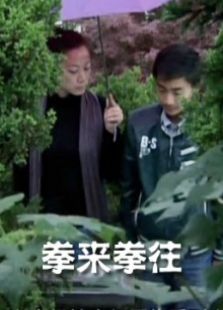 拳來拳往