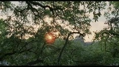 制作特輯之克里斯托弗·諾蘭、大衛(wèi)·芬奇推薦