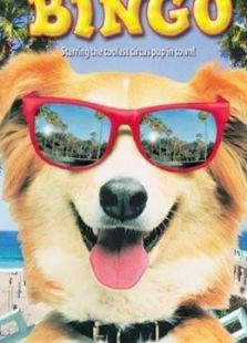 靈犬賓果