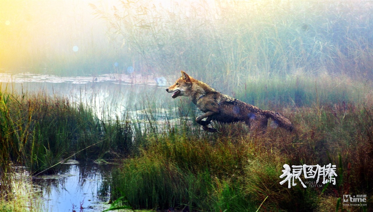 http://www.omega3-ala.com/pics/default/download/179c0dc88db63cdb4e8d5f3d0a0489d1.jpg