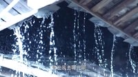 《馬蘭謠》好苗子未來報到 陳開遠堅持再等
