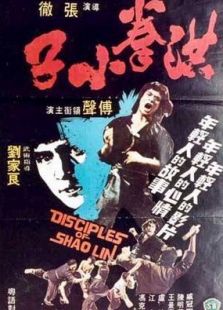 洪拳小子