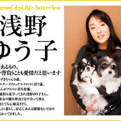 淺野優子?