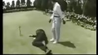 紅粉殺手