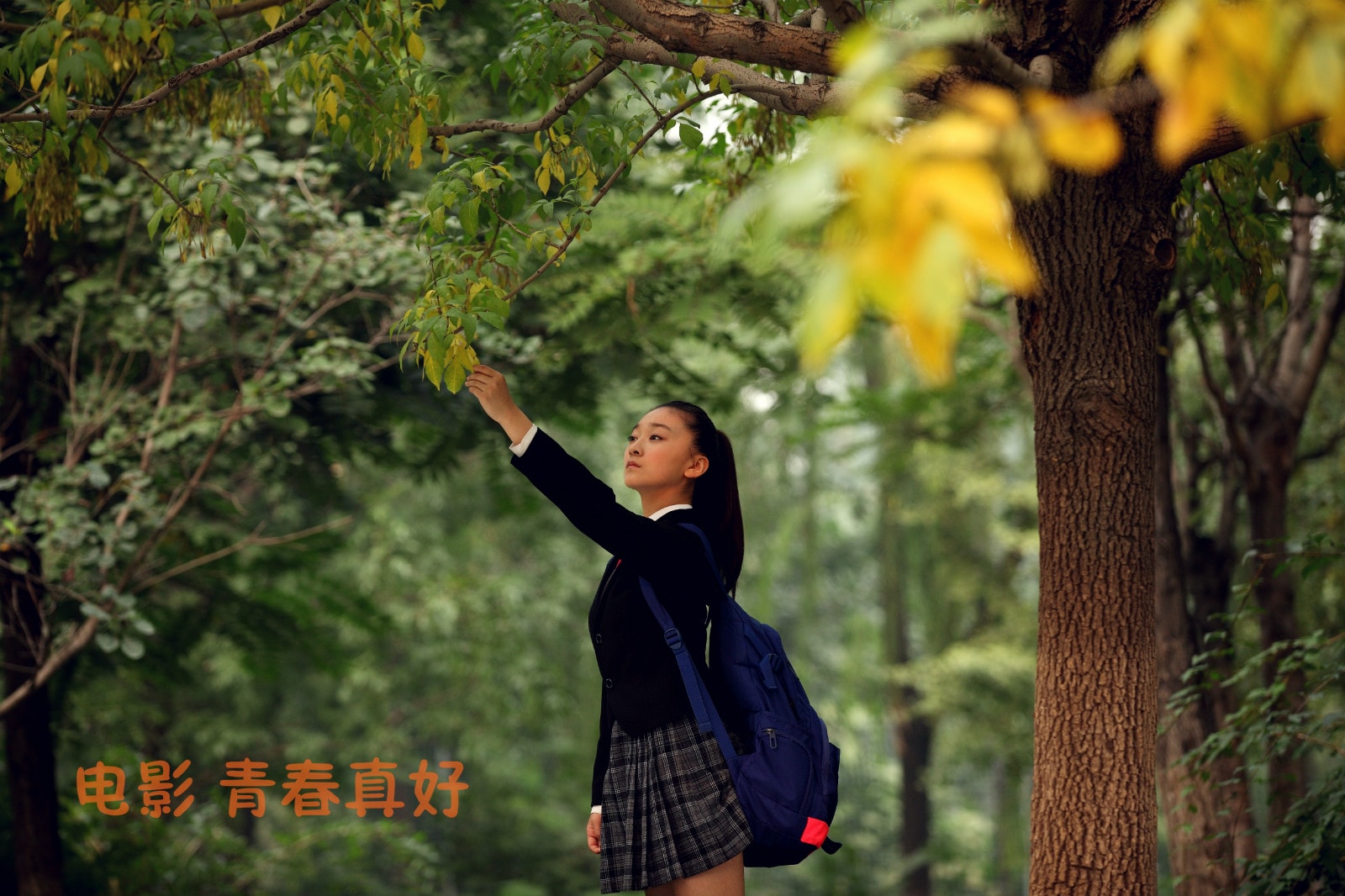 http://www.omega3-ala.com/pics/default/download/191b72c07e1a1da43f11f94e7eed35f6.jpg