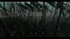 劇場版預(yù)告片2