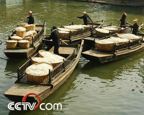 http://www.omega3-ala.com/pics/default/download/19758631e55a4b287ff9cc35a15aa88c.jpg