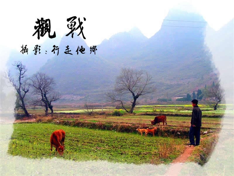 http://www.omega3-ala.com/pics/default/download/1981bc5498cac93e27fec6a408d04859.jpg