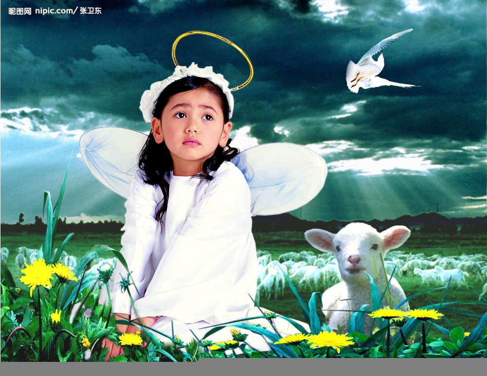 http://www.omega3-ala.com/pics/default/download/1988c10328c8ba13f0f36d3c4130161d.jpg