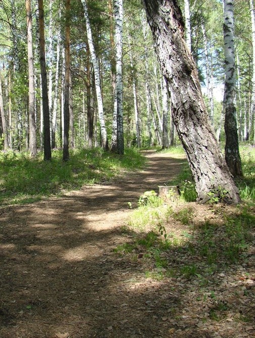 http://www.omega3-ala.com/pics/default/download/1997d1e96c82cfa9ebb9c94cb09ea3a2.jpg