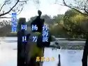 喜氣洋洋豬八戒-好春光