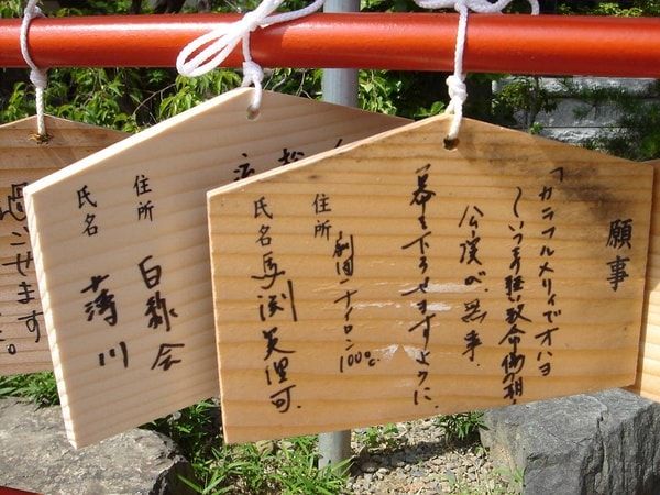 http://www.omega3-ala.com/pics/default/download/1a90492c72e205cb94d8cde5976432ca.jpg