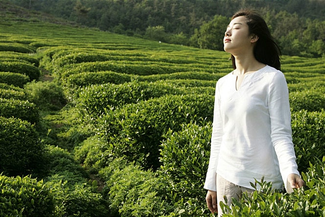 http://www.omega3-ala.com/pics/default/download/1a9ca90b685c070e49f304582b918b9c.jpg