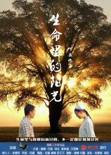 生命里的陽(yáng)光