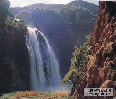http://www.omega3-ala.com/pics/default/download/1acc5b427cfa7be8275d1e4df889a265.jpg