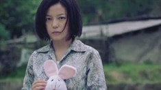 趙薇 特輯