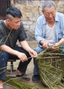 復蘇的蝴蝶