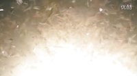 【美劇極客】遠(yuǎn)古入侵：新世界(Primeval:New Wolrd)預(yù)告片