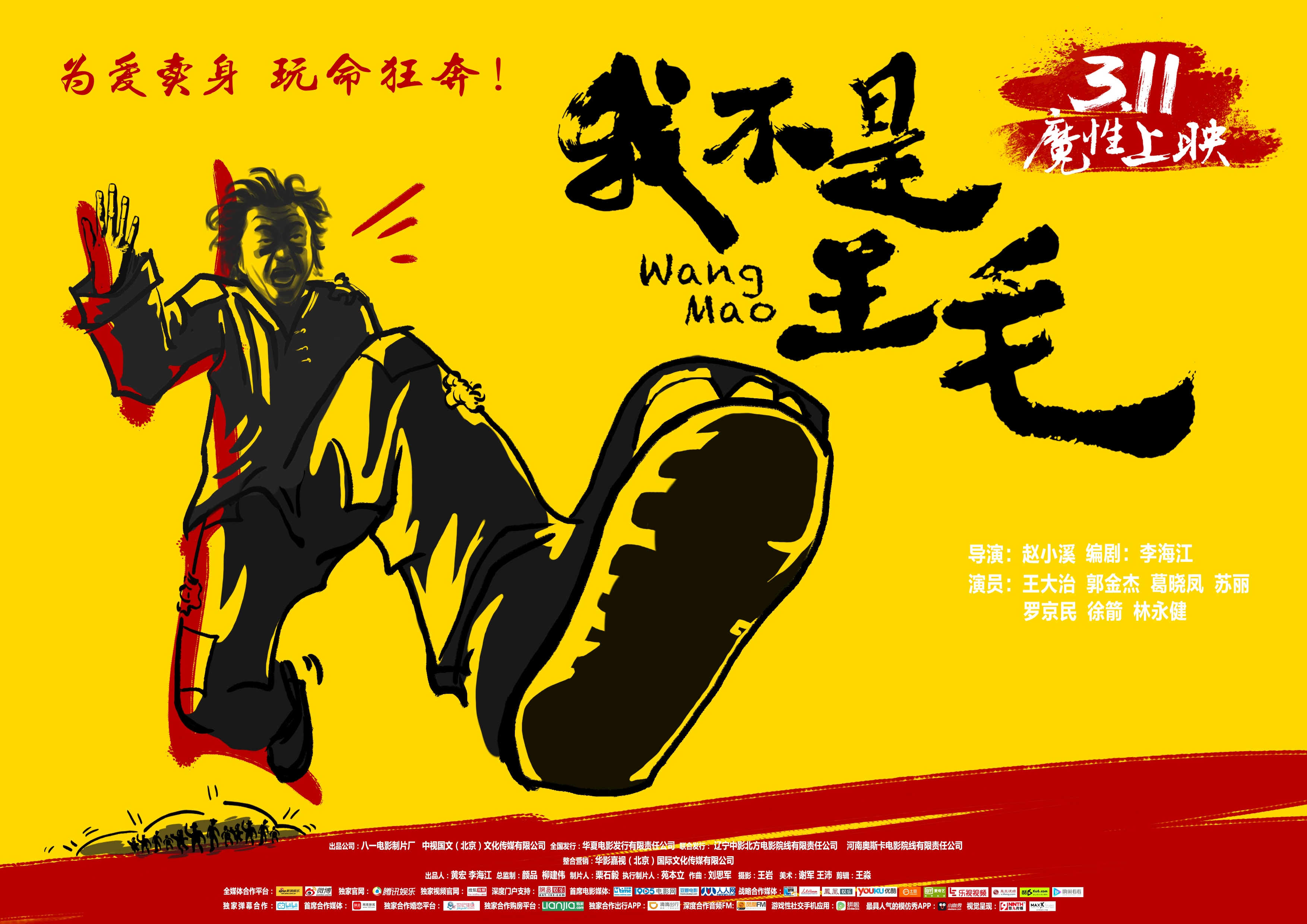 我不是王毛 高清海報