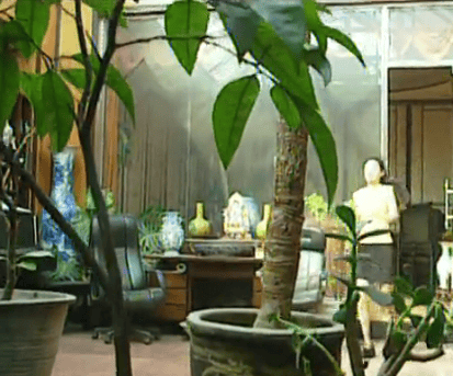 http://www.omega3-ala.com/pics/default/download/1c2af06187e1cd4df8008aed2dad6c3d.jpg