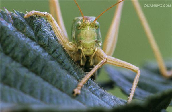 http://www.omega3-ala.com/pics/default/download/1cc106b07bb7f6a405c8adb1fef6ffde.jpg