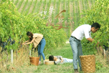 http://www.omega3-ala.com/pics/default/download/1cfa780d8004b218173e44af8836a989.jpg