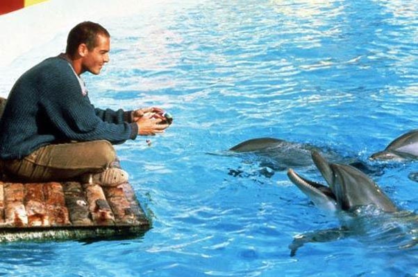 http://www.omega3-ala.com/pics/default/download/1d085192ce4b424a99df3878b44bd9a0.jpg