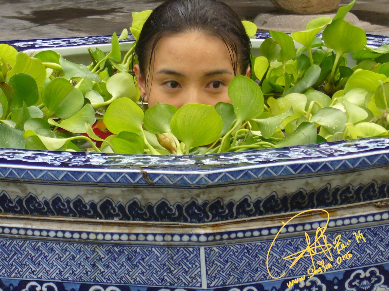 http://www.omega3-ala.com/pics/default/download/1db5d5a03bef64242fde1e014284f8c2.jpg