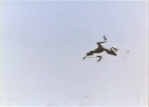 http://www.omega3-ala.com/pics/default/download/1e33a3fce929c40ab35ead4721b78f2b.jpg