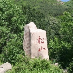 松山Mary?