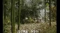 烏龍山剿匪記大結局清晰版