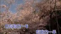 龔玥版《十五的月亮》清澈空靈，和董文華比，另有一番味道！