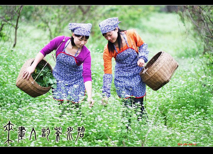 http://www.omega3-ala.com/pics/default/download/1ef417072f0ce87dafb7c568517cdbe5.jpg