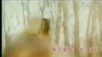 難以抗拒(新龍門客棧片頭主題曲)