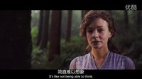 《far away from the madding crowd 遠(yuǎn)離塵囂 中文預(yù)告片》冰冰字幕組雙語聽譯