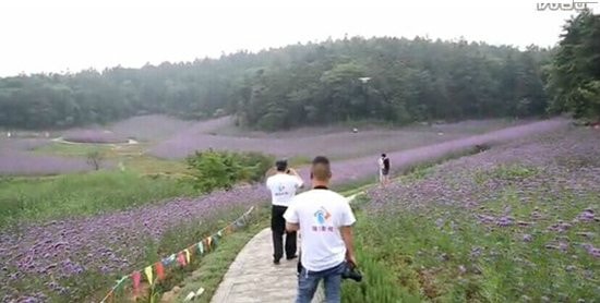 http://www.omega3-ala.com/pics/default/download/1f4c0cc30bb70722005bec9d046356f2.jpg