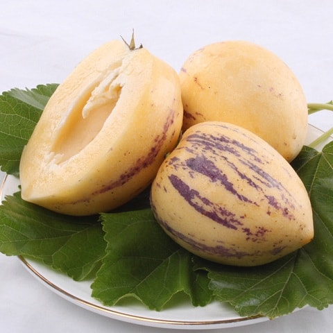 http://www.omega3-ala.com/pics/default/download/2063c6c369753196175b807dcba6cf87.jpg