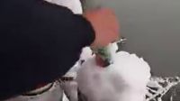 哥們下雪天光身子釣魚
