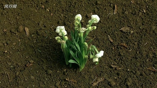 http://www.omega3-ala.com/pics/default/download/20ceca160009dc71073acba587c37598.jpg