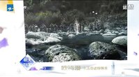 金戰第1-3集   預告【浙江版】