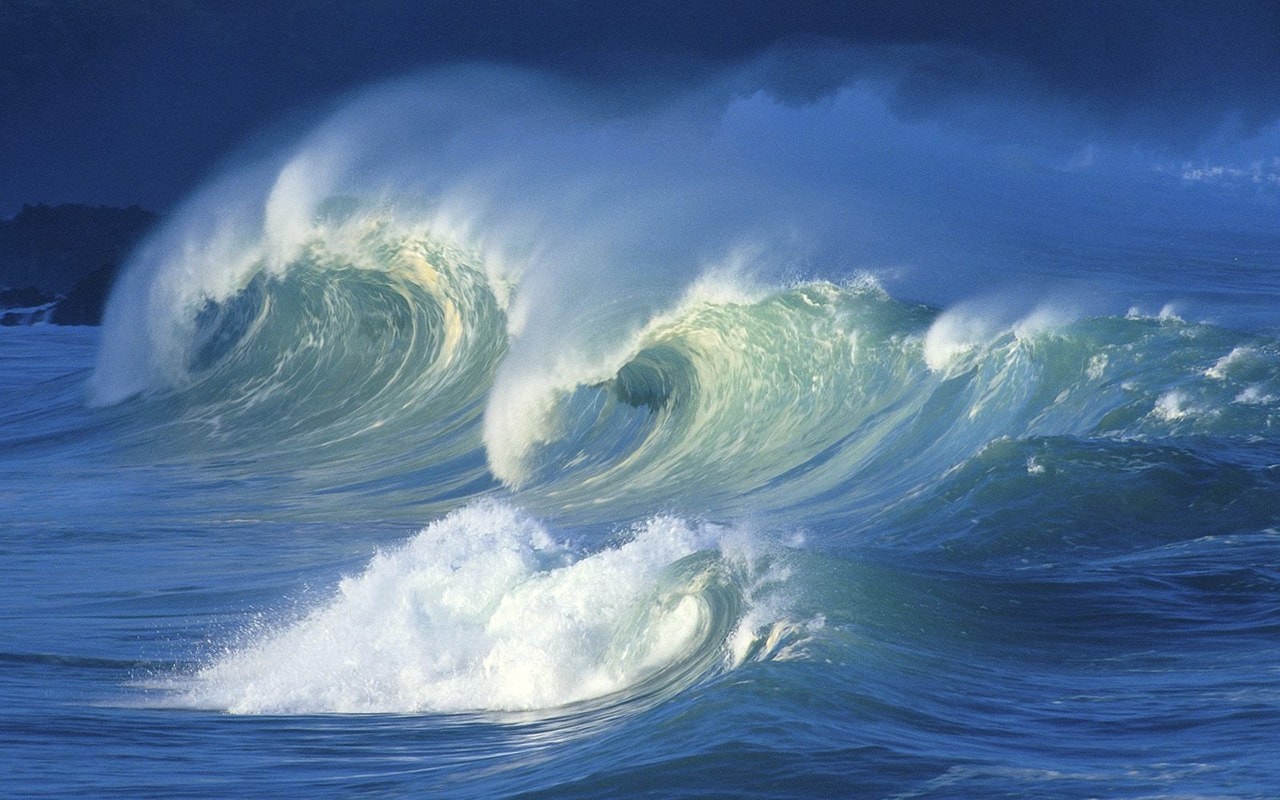 http://www.omega3-ala.com/pics/default/download/216b011da533ebe7587bcb4582da1ee3.jpg