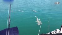 野河釣魚技巧